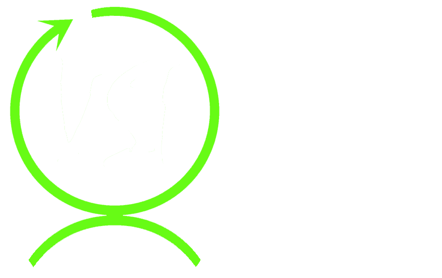 VSI 360 Logo